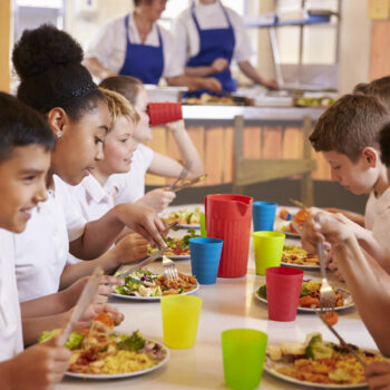 The Health and Nutrition in Schools Conference 2024
