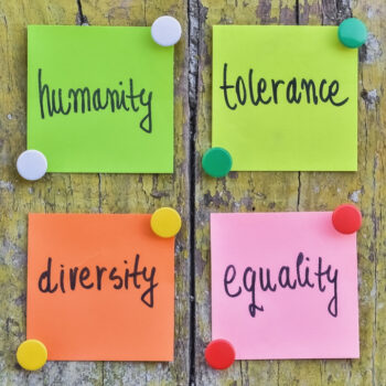 Inclusion and Diversity in the Voluntary Sector 2022